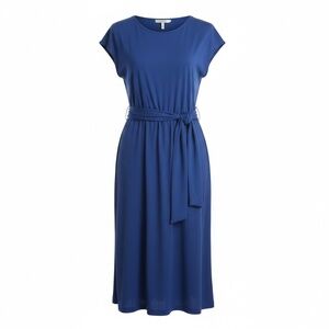 🐰🌷🐣 New York & Co Blue Empire Waist Midi Dress - XL - Pockets - Royal Blue